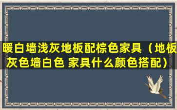 暖白墙浅灰地板配棕色家具（地板灰色墙白色 家具什么颜色搭配）